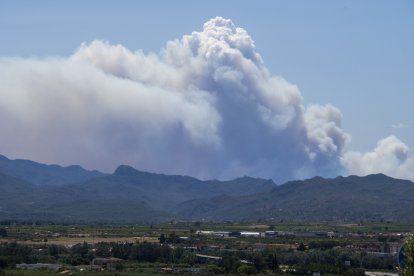 Sense el vent el desenvolupament de l’incendi de Paüls hagués sigut molt diferent.