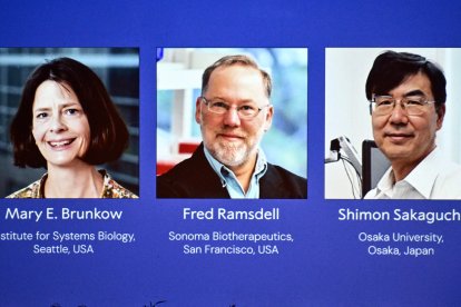 El Premio Nobel de Medicina es para los estadounidenses Mary E. Brunkow y Fred Ramsdell y el japonés Shimon Sakaguchi