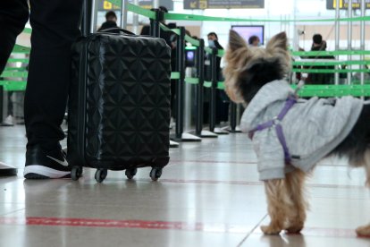 Imagen de una maleta en un aeropuerto