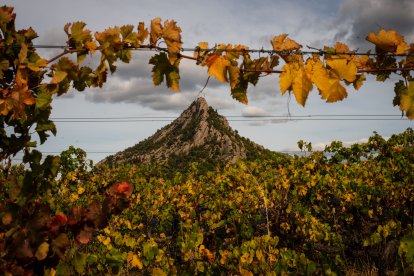 La Muntanya de Santa Bàrbara en otoño.