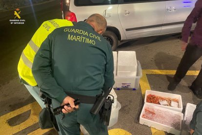 Un agente supervisa el pescado que se llevaba un pescador.
