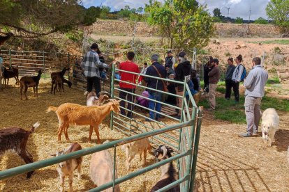 Prèviament, Concactiva ja havia organitzat algun curs puntual sobre pasturatge i ramaderia.