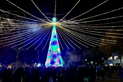El árbol gigante que preside el Parc de la Riera, en Vila-seca.