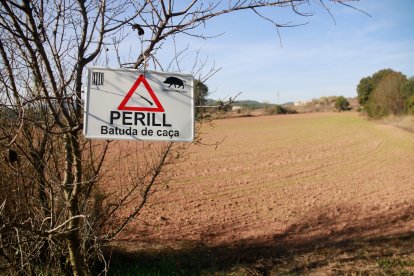 Uno de los campos agrarios dentro de una zona de caza