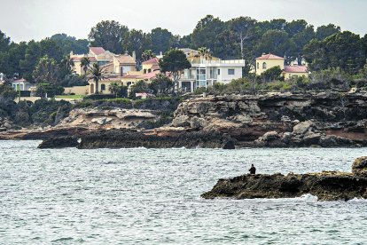 L'alcaldessa de l'Ametlla de Mar, Eva del Amo, ha anunciat que el consistori ha reduït el deute a la meitat.