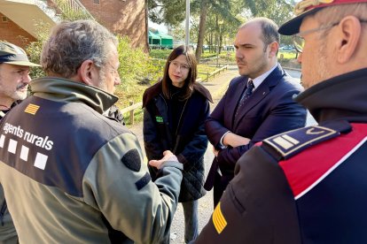 Los Agents Rurals elevan a 50 los jabalíes encontrados muertos
