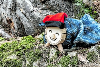 El Tío del Bosc de Poblet.