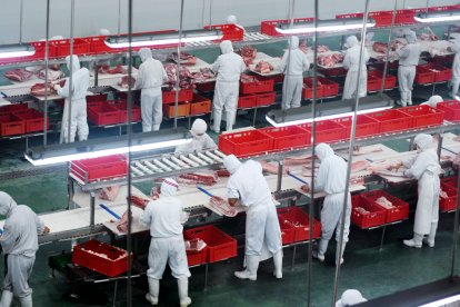 Un grupo de trabajadores en una fábrica de producción de cerdo