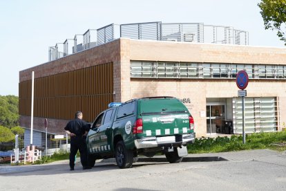 Centro de Investigación en Sanidad Animal (IRTA-CReSA). La Generalitat ha ampliado este sábado la investigación sobre el origen del brote de peste porcina africana (PPA).