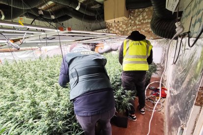 Agentes de la Guardia Civil durante el operativo.