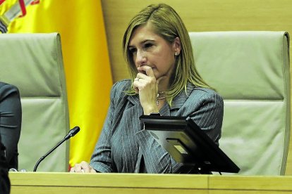 Salomé Pradas, el lunes durante su comparecencia en la comisión del Congreso.