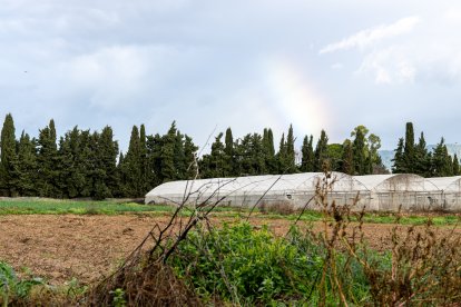 El arcoiris sobre el campo.