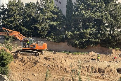 Se hará una documentación de la estructura antes de seguir la obra.