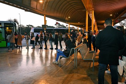 La T-16 permet als infants i joves de 4 a 16 anys viatjar gratuïtament en transport públic