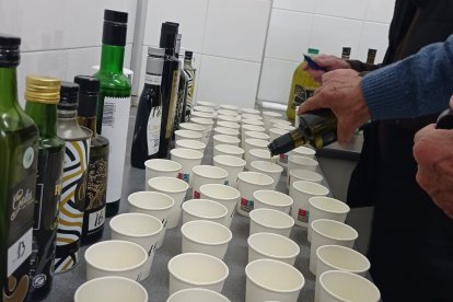 Tast dels olis que es presenten al concurs.