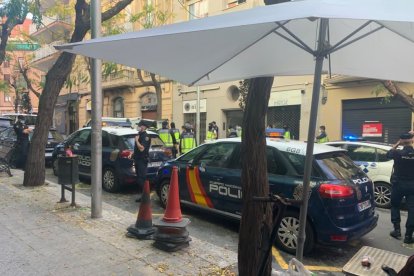 Vehículos policiales en la calle Reding, donde se realizaron registros.