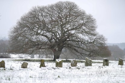 Consecuencias de la borrasca Ingrid.