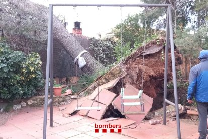 Árbol en el Camí del Burgar, en Reus.