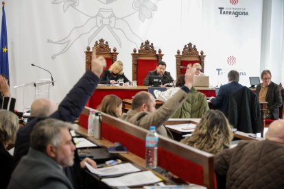 Imagen del pleno municipal de este lunes