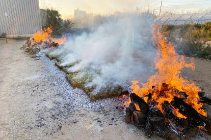 Rostint carxofes en la passada edició de la festa.