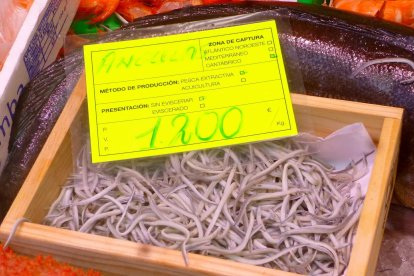 Angulas en un mercado de Bilbao, a 1.200 euros el kilo, en una imagen de archivo