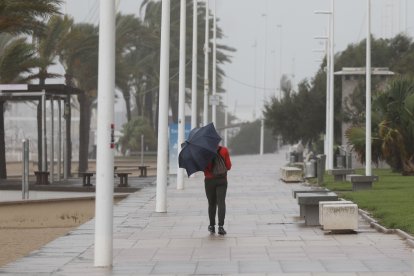 Más de 100.000 alumnos sin clase en Valencia y Alicante por culpa de la dana Adam