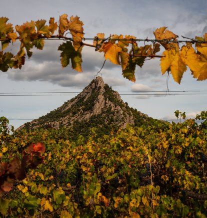 La Muntanya de Santa Bàrbara en otoño.