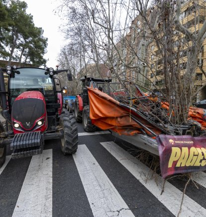 Los tractores han inundado el centro de Reus con avellanos muertos por la sequía.