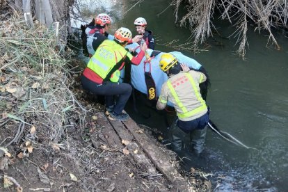 Se intentó sacar al animal por sus medios, pero no se logró.