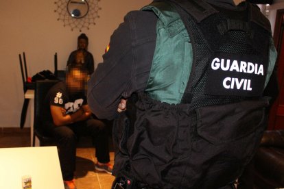 La Guardia Civil ha intervenido 266 plantas de marihuana, y 10 gramos de cocaína