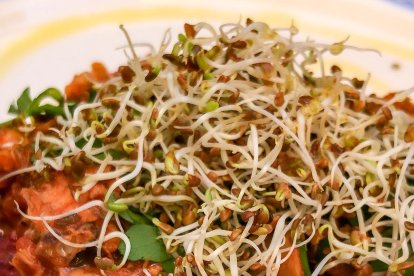 Pizza de base vegetal