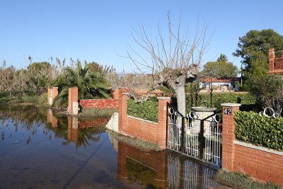 Las calles de la urbanización conocida como Lago Romano en La Pineda siguen anegadas tras las lluvias de este pasado octubre y noviembre.