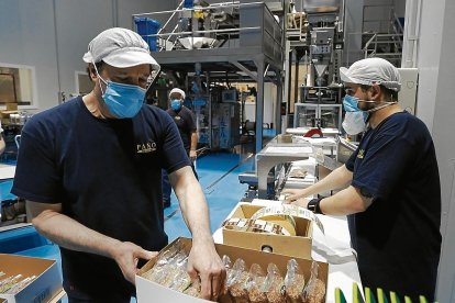Trabajadores de Paño Fruits en sus instalaciones de Alcover.