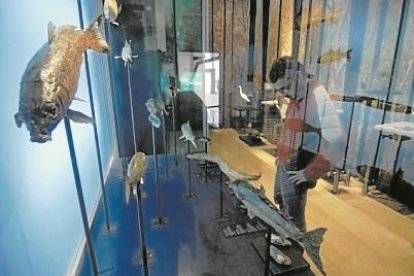 Puertas abiertas a un territorio rico en cultura, tradición y naturaleza