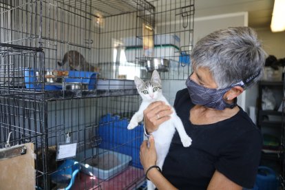 En la Protectora necesitan con urgencia habilitar una nueva zona de cuarentena.