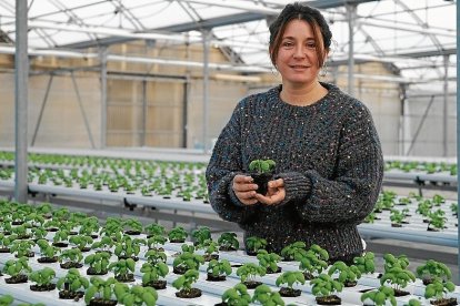 Berta Escoda, entre algunas de las canalizaciones en las que crece albahaca. A la derecha, flores comestibles.