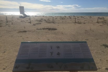 Calafell ampliará tramos de playa en recuperación para retener arena