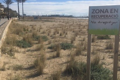 La zona de playa en recuperación ambiental.