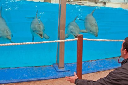 Aquopolis cierra el delfinario de La Pineda y envía a sus nueve cetáceos al sur de China