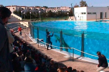 Aquopolis cierra el delfinario de La Pineda y envía a sus nueve cetáceos al sur de China