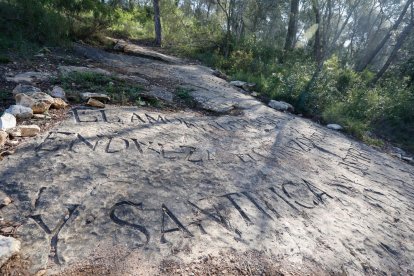 La inscripción grabada en la roca. Dice: «El amor al árbol enorgullece al hombre. Su cultivo enriquece. El amor y adoración endulzan el corazón del hombre y santifican su espíritu. M. Puig i Valls».