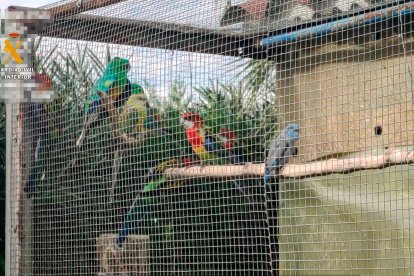 La finca se encontraba en el municipio de Deltebre.