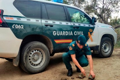 El SEPRONA de la Guardia Civil es la Unidad encargada de velar por la conservación de la naturaleza y medio ambiente.