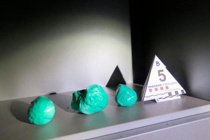 Cae una red de tráfico de drogas en Campclar liderada por dos mujeres