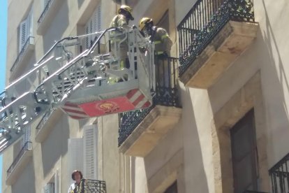 VÍDEO: Ovación por el rescate de una gaviota en TGN