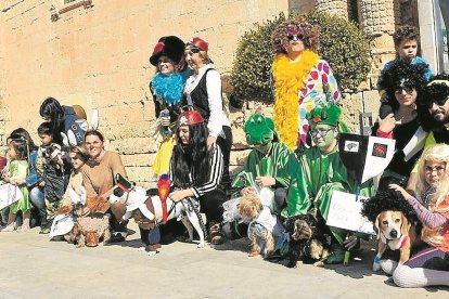 El concurso de mascotas disfrazadas de Torredembarra llenó este sábado el Pati del Castell.