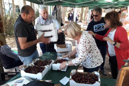 Els venedors, col·locant les caixes de les maduixes.