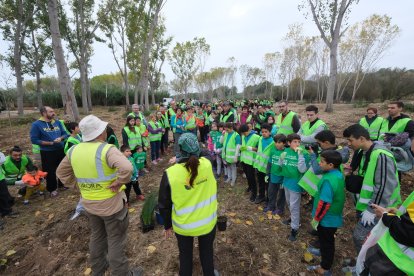 Més de 400 persones reforesten el Francolí al seu pas per Tarragona i Constantí