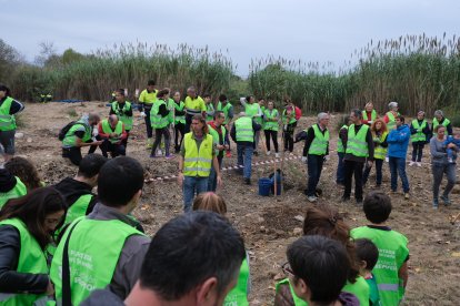 Més de 400 persones reforesten el Francolí al seu pas per Tarragona i Constantí
