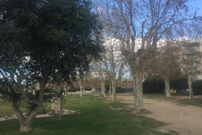 El objetivo es crear áreas urbanas arboladas.